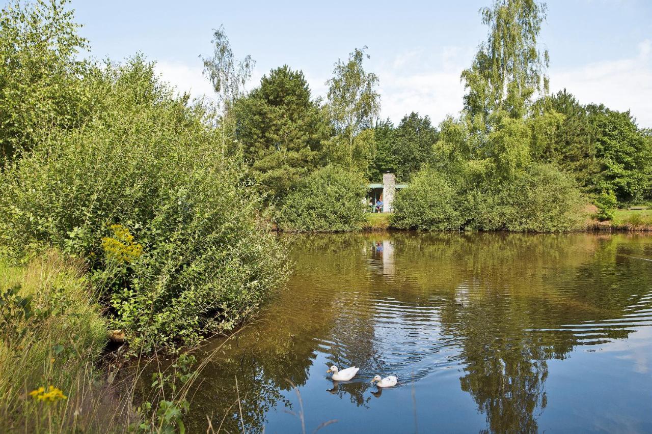 فندق Center Parcs Limburgse Peel Limburg-Brabant أمريكا المظهر الخارجي الصورة